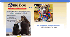 Desktop Screenshot of floridabigdogrescue.com